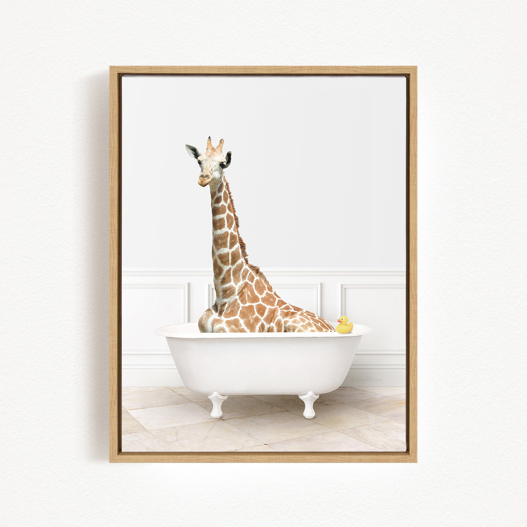 A giraffe sitting in a white bathtub, with a yellow rubber duck floating in the water.