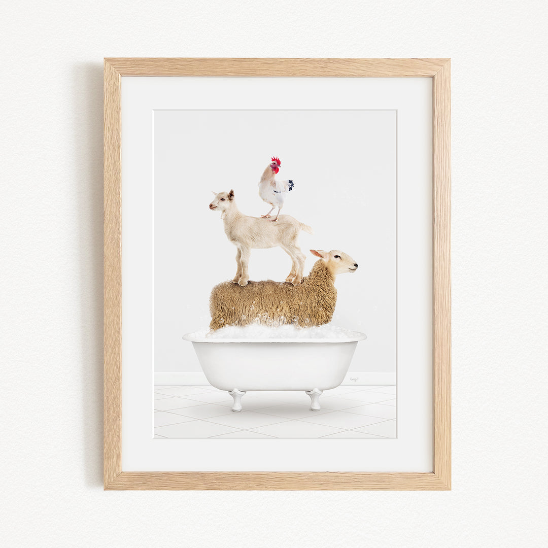 A framed image depicting a goat standing on top of a sheep in a bathtub, with a rooster perched on the sheep's back.