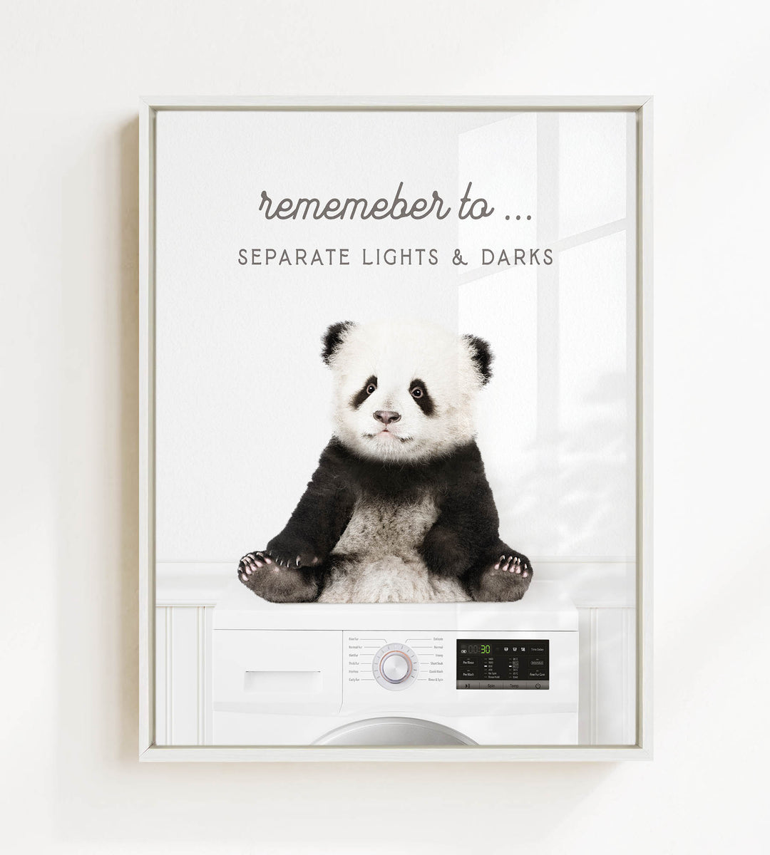 A panda bear sitting on a washing machine, with the text "Remember to separate lights & darks" displayed above the image.