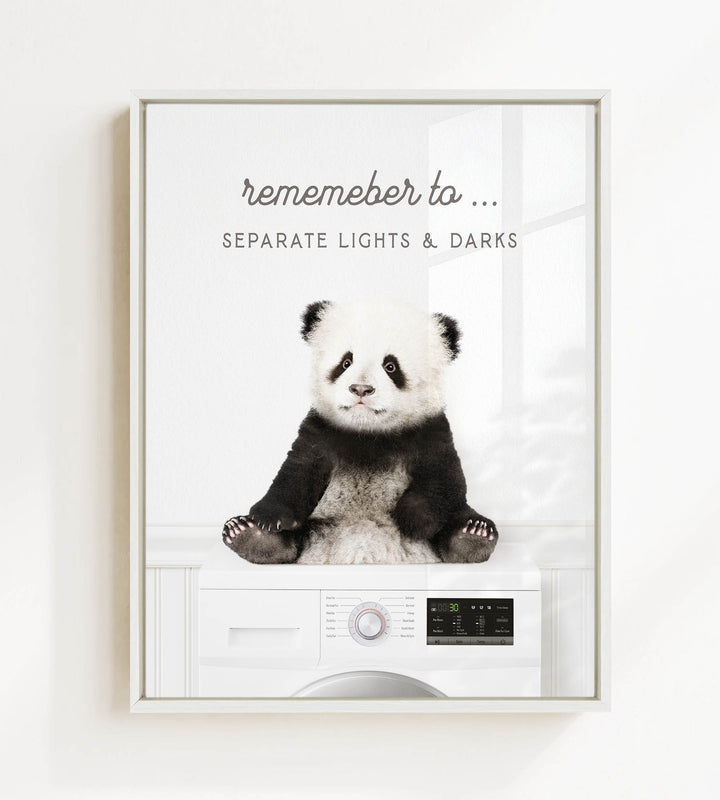 A panda bear sitting on a washing machine, with the text "Remember to separate lights & darks" displayed above the image.