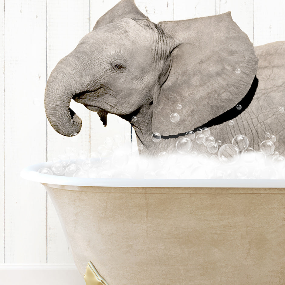 a baby elephant taking a bath in a bathtub