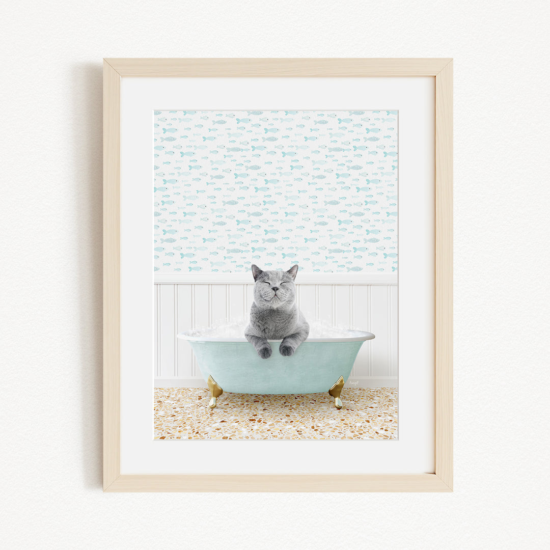 A gray cat sitting in a light blue bathtub, with a patterned wall behind it.