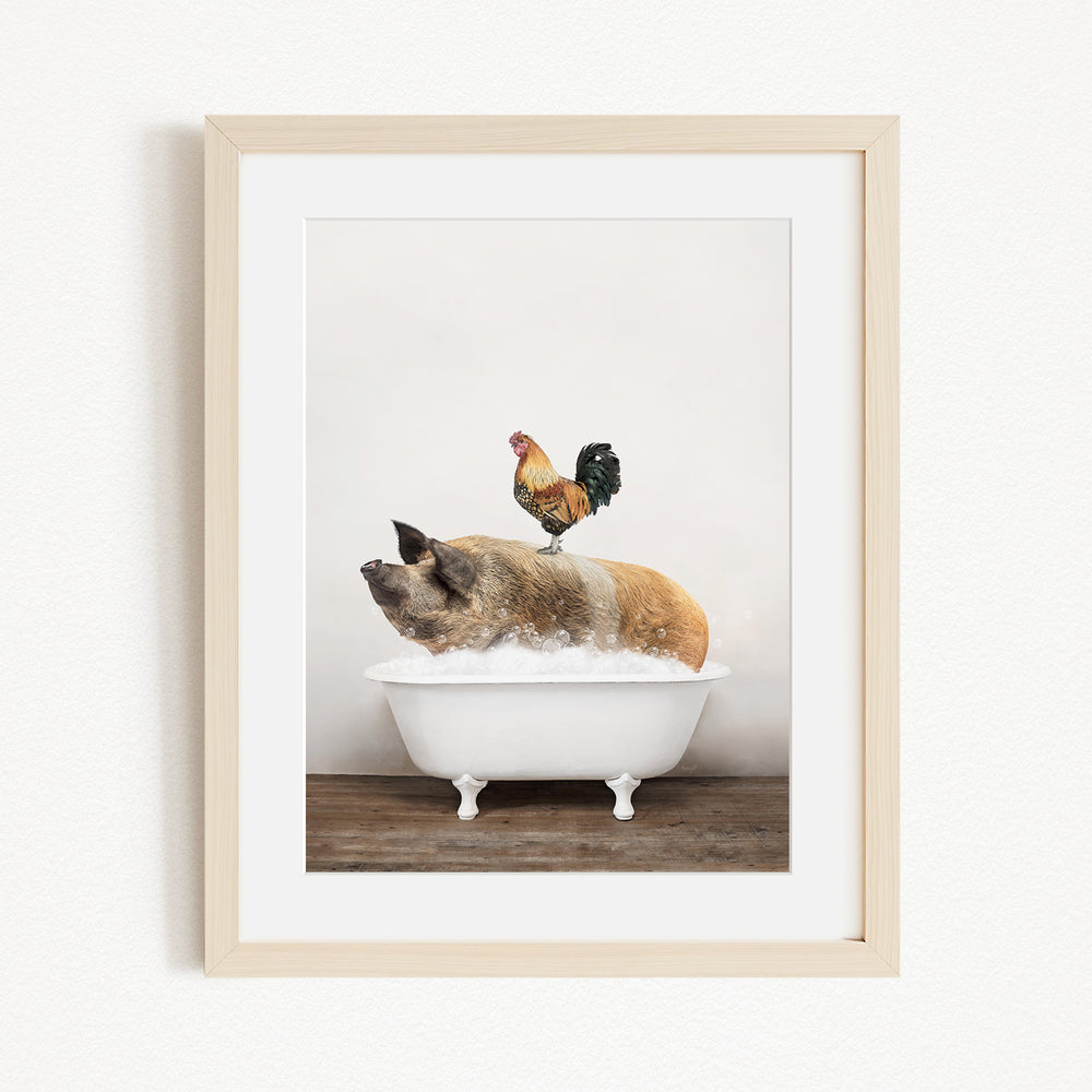 A rooster stands on a pig's back while the pig is sitting in a bathtub filled with water.