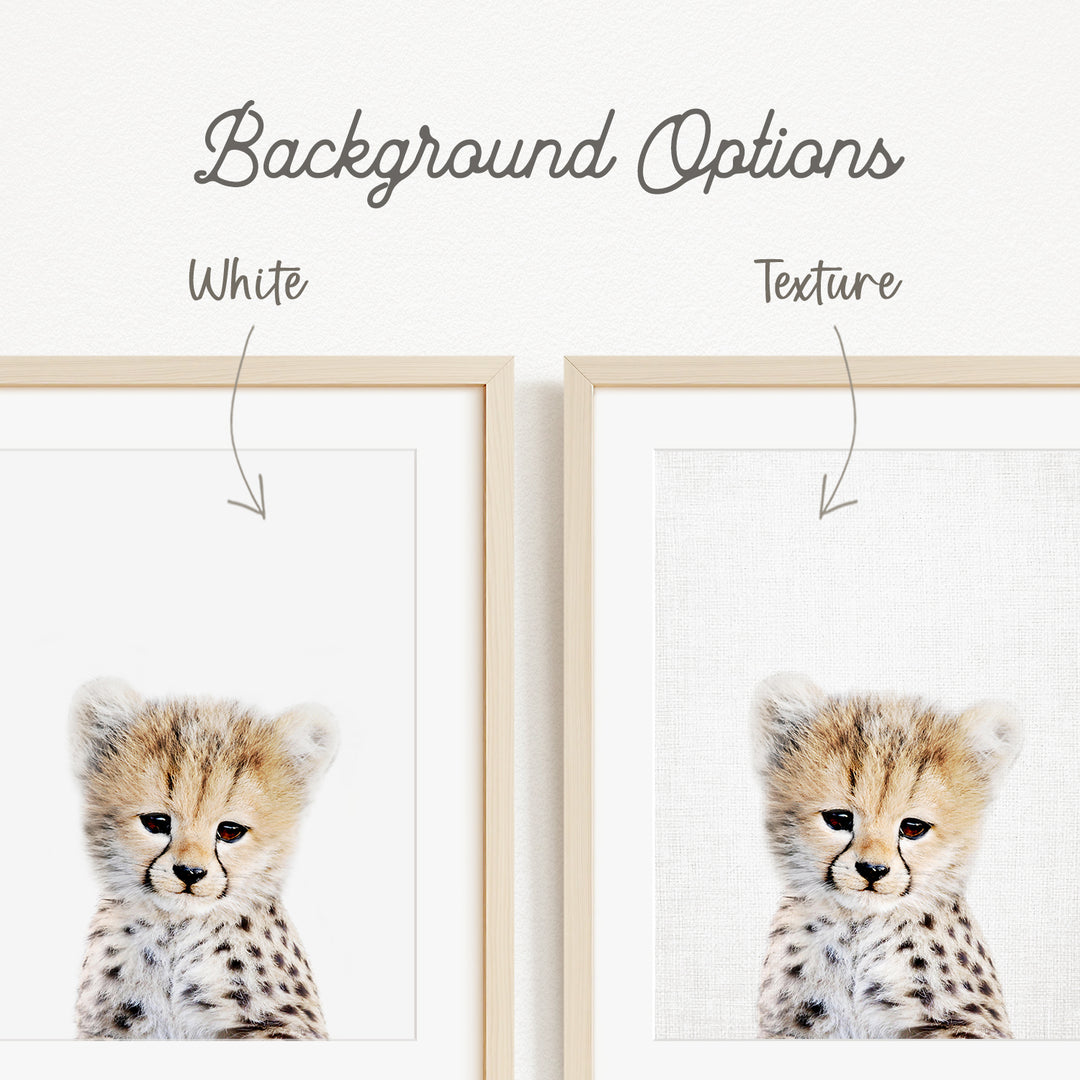 a cheetah cub with a white background and a text box indicating the background color and texture.