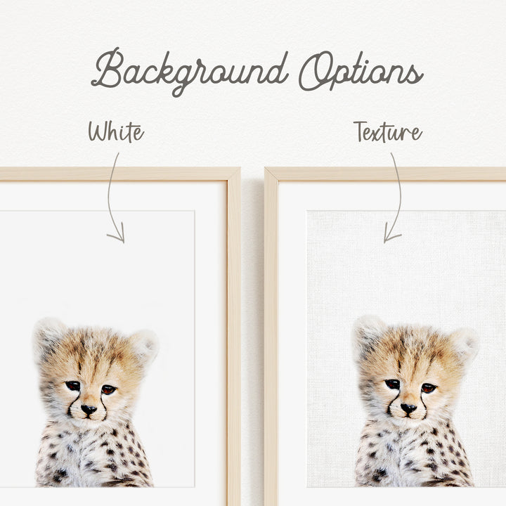 a cheetah cub with a white background and a text box indicating the background color and texture.