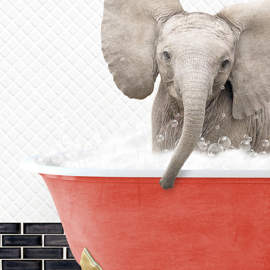 a baby elephant in a bathtub with bubbles