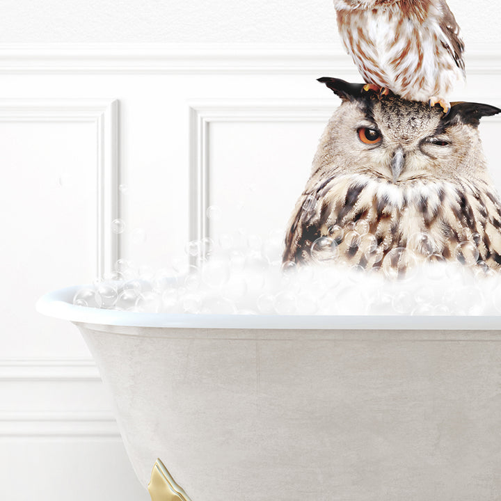 an owl sitting on top of a bathtub filled with bubbles