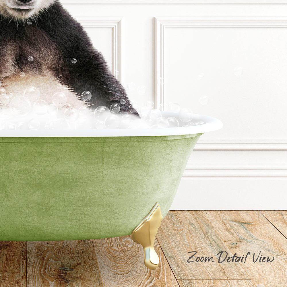 A close-up of a dog's paw in a green bathtub filled with bubbles, with a wooden floor and a white wall in the background.