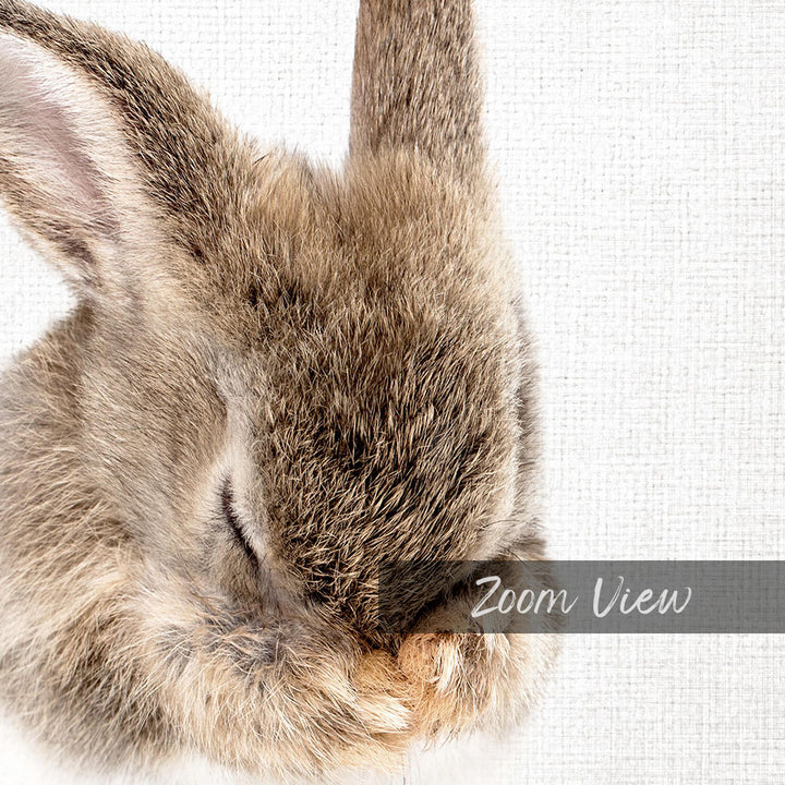 A close-up image of a rabbit's head, with its eyes closed and its head resting on its paws, against a plain white background.