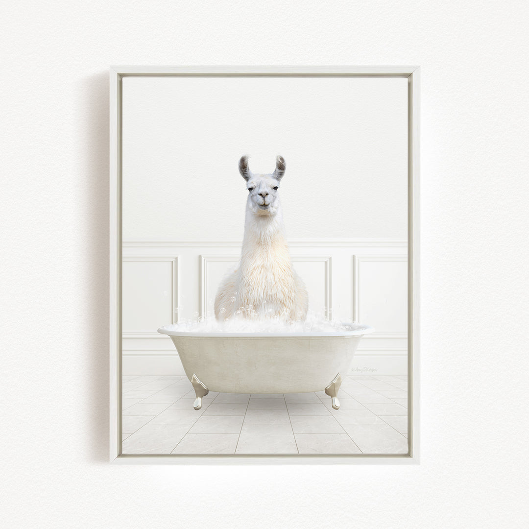A white llama sitting in a white bathtub filled with bubbles.