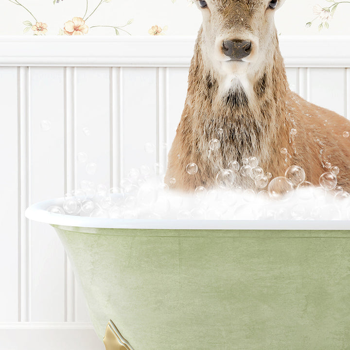 a deer is sitting in a bathtub full of bubbles