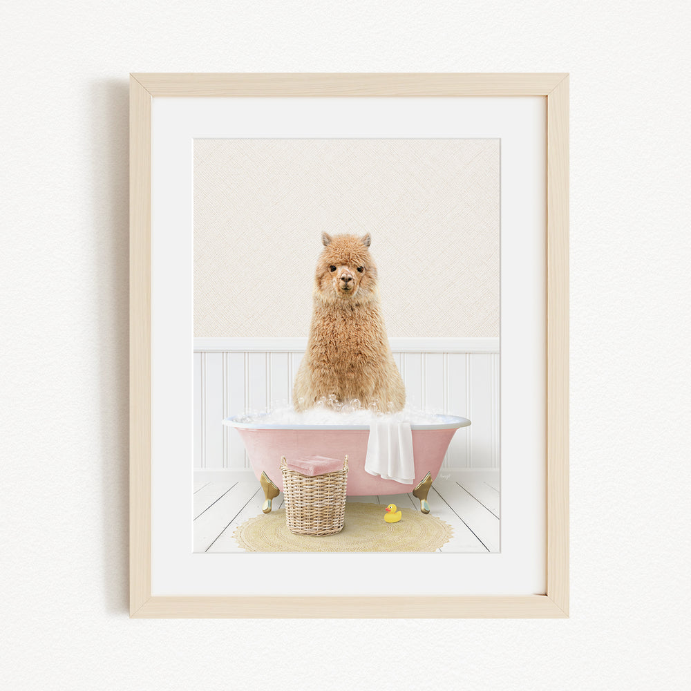 A fluffy brown dog sitting in a pink bathtub filled with water, surrounded by a yellow rubber duck and a basket.