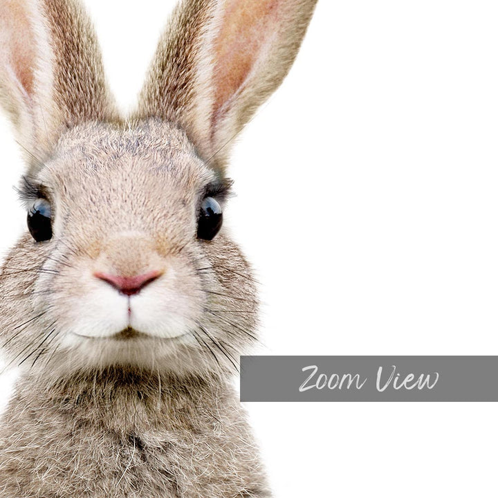 a close up of a rabbit's face with a white background