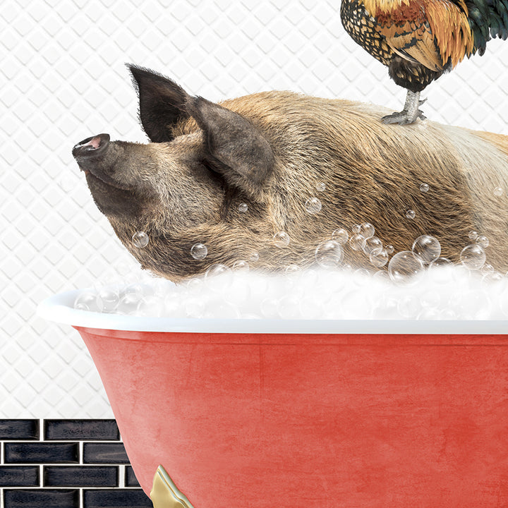 a pig in a bathtub with a rooster on top of it