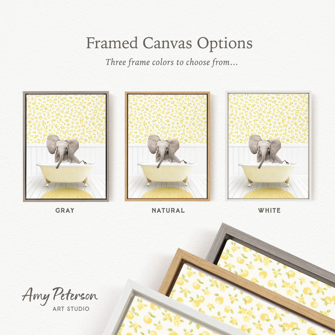 The image is a framed canvas option showcasing three different framed canvas options with a central image of an elephant sitting in a bathtub. The options include a gray frame, a natural frame, and a white frame.