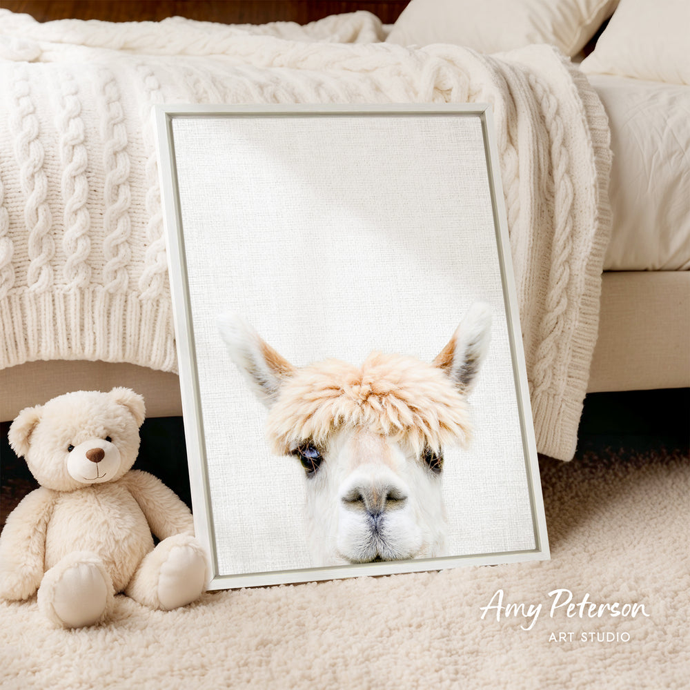 A framed image of a llama peeking out from behind a teddy bear, with a cozy, beige-colored blanket and pillows in the background.