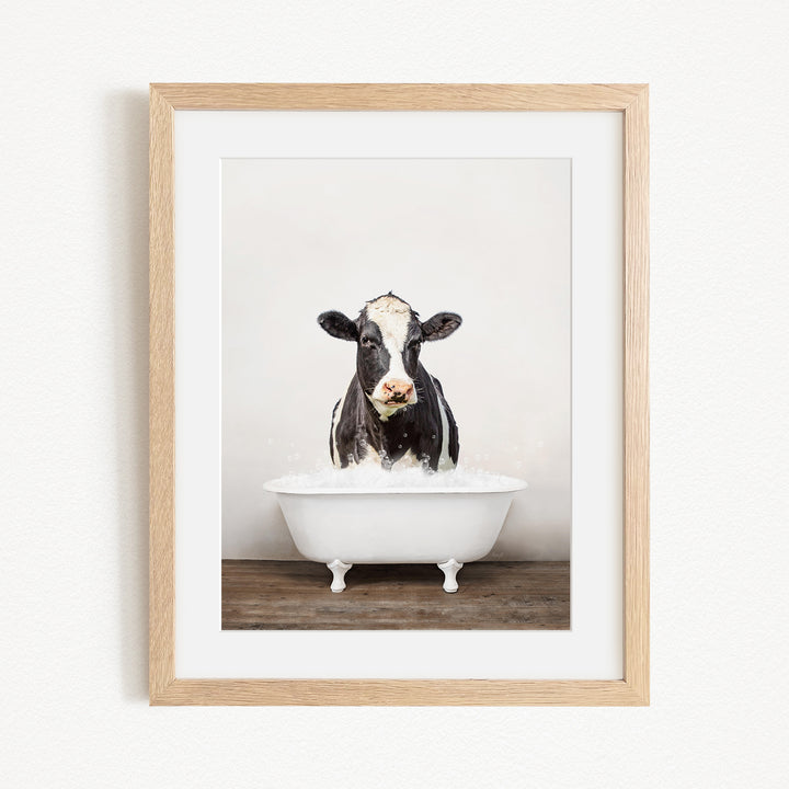 A black and white cow is sitting in a white bathtub filled with water, creating a whimsical and humorous scene.