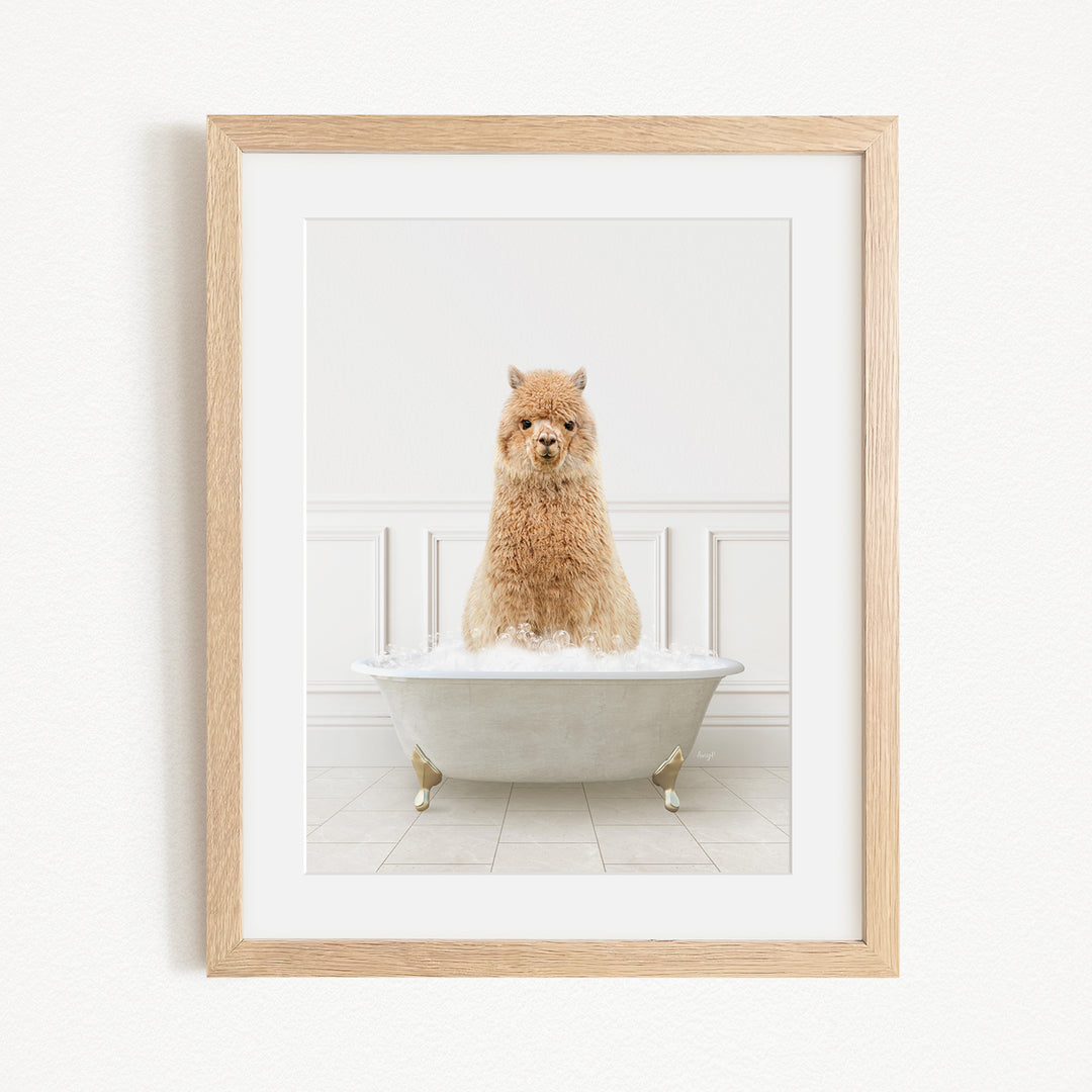 A fluffy brown dog sitting in a white bathtub filled with bubbles, looking directly at the camera.