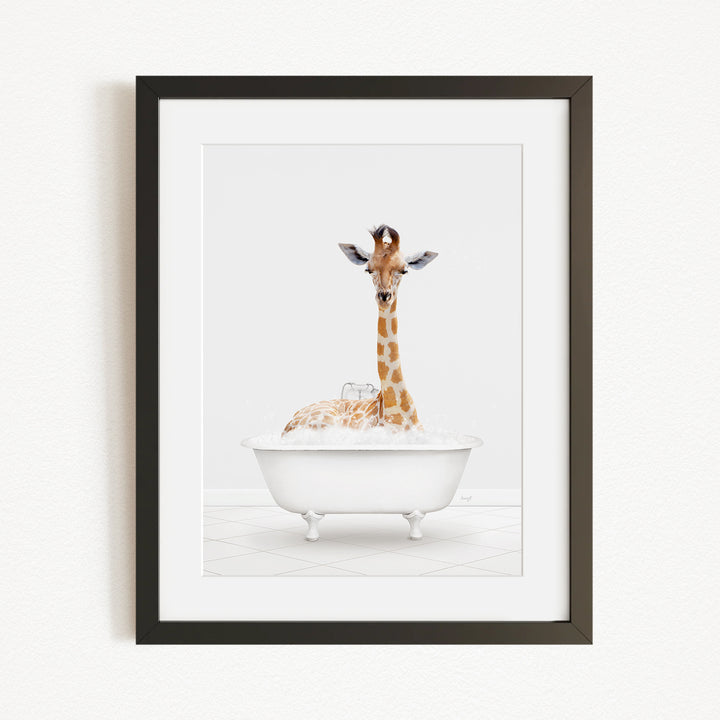 A giraffe sitting in a white bathtub filled with bubbles, looking directly at the camera.