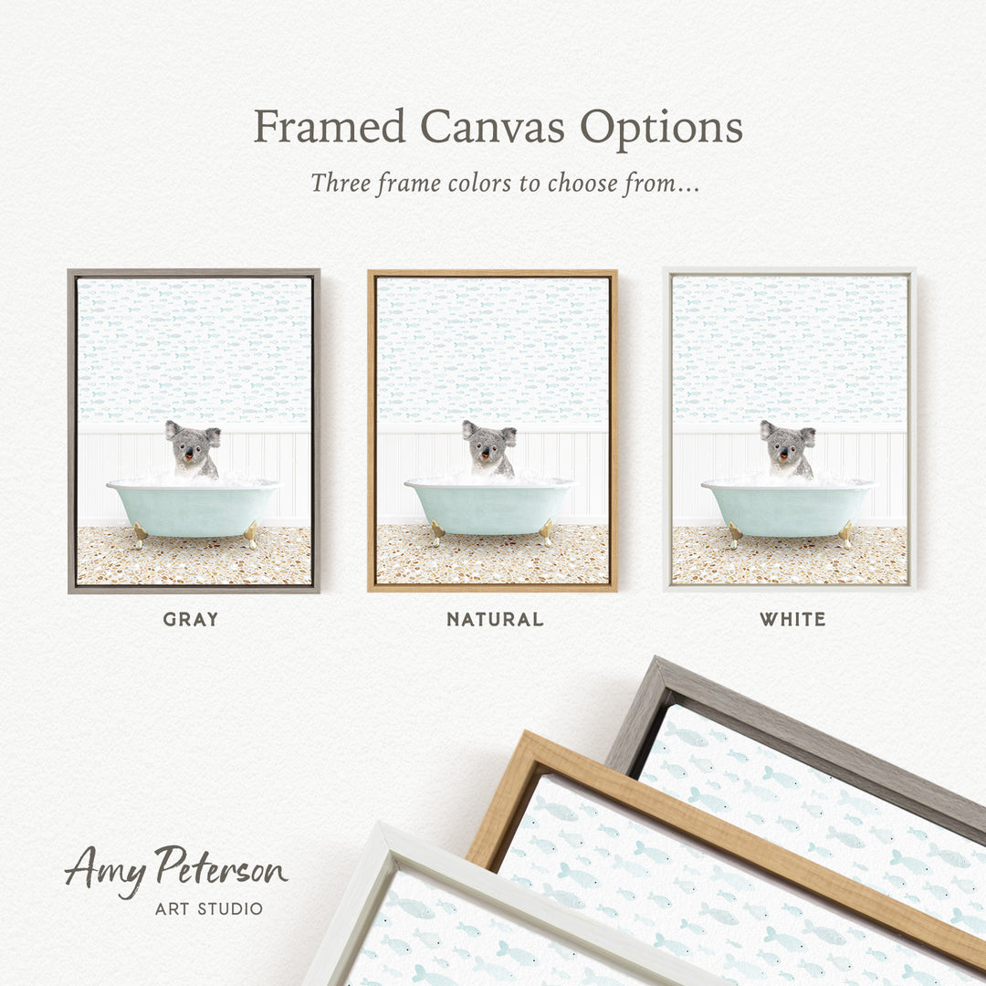 three framed canvas options, each featuring a koala bear in a bathtub. The options include a gray frame, a natural frame, and a white frame. The text above the images reads " Framed Canvas Options" and "Three frame colors to choose from...". The bottom of the image includes the text " Amy Peterson ART STUDIO".