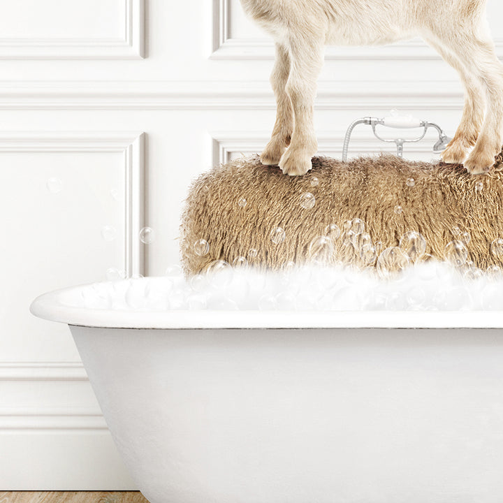 a goat standing on top of a bath tub