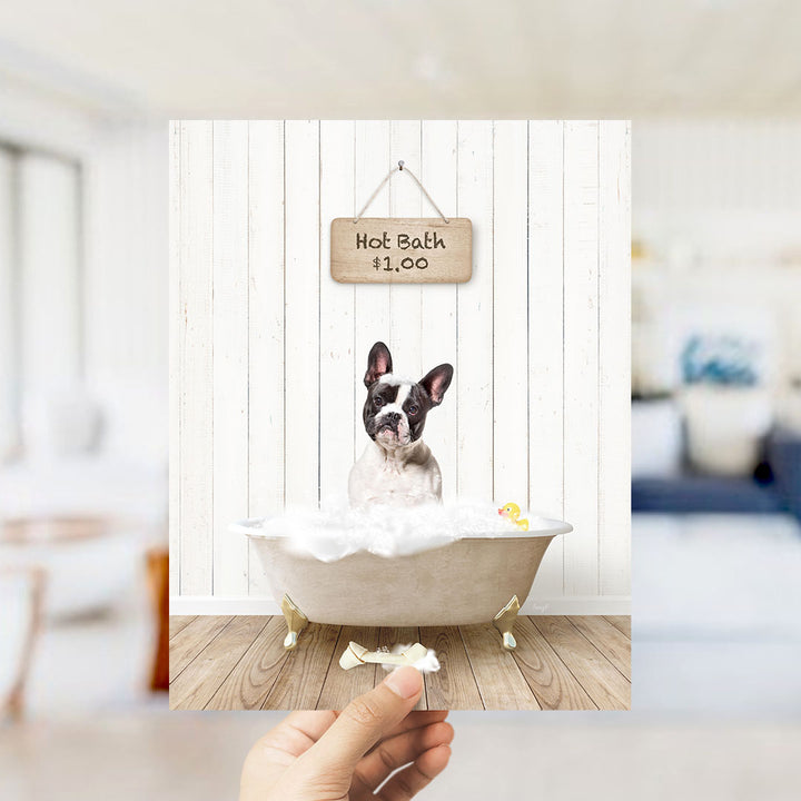A French Bulldog sitting in a bathtub filled with bubbles, with a sign above the tub that reads "Hot Bath $1.00".