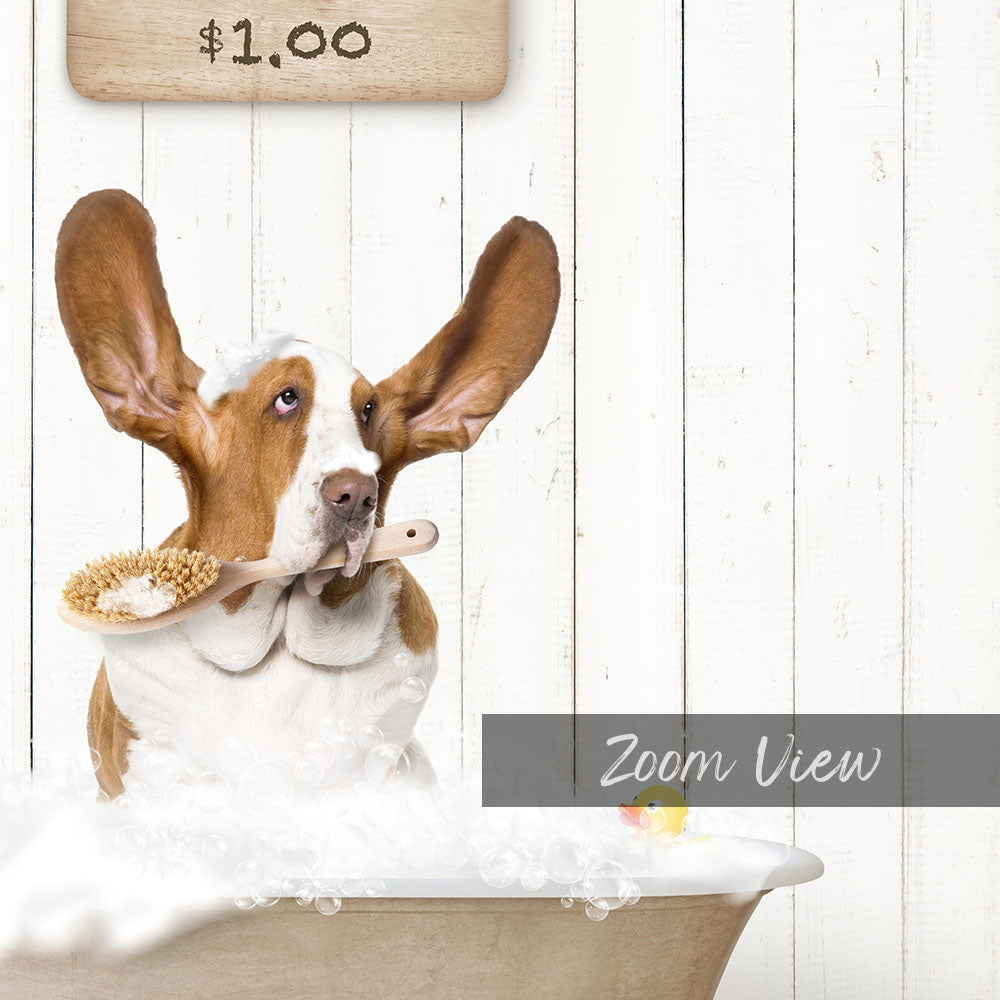 A brown and white dog sitting in a bathtub, holding a wooden brush in its mouth, with a sign above the bathtub displaying "$1.00".