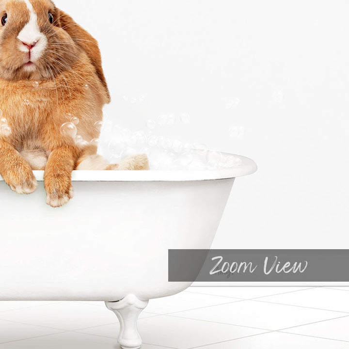 A cute brown and white rabbit sitting in a white bathtub filled with bubbles, with the text "Zoom View" below the image.