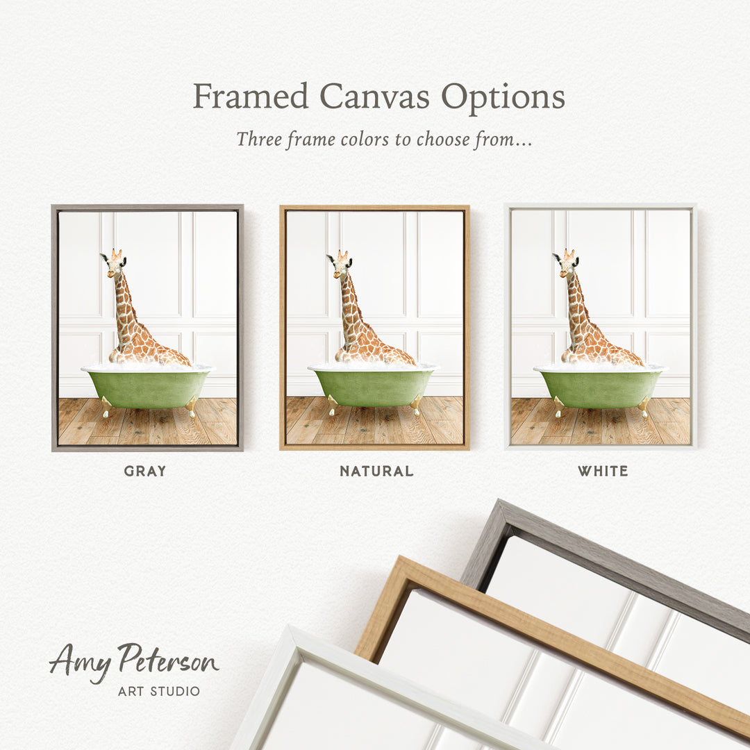 three framed canvas options featuring a giraffe sitting in a bathtub, each with a different frame color: gray, natural, and white.