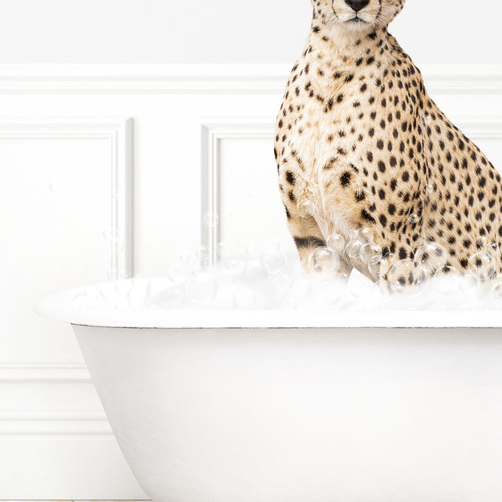 a cheetah sitting in a bathtub full of foam