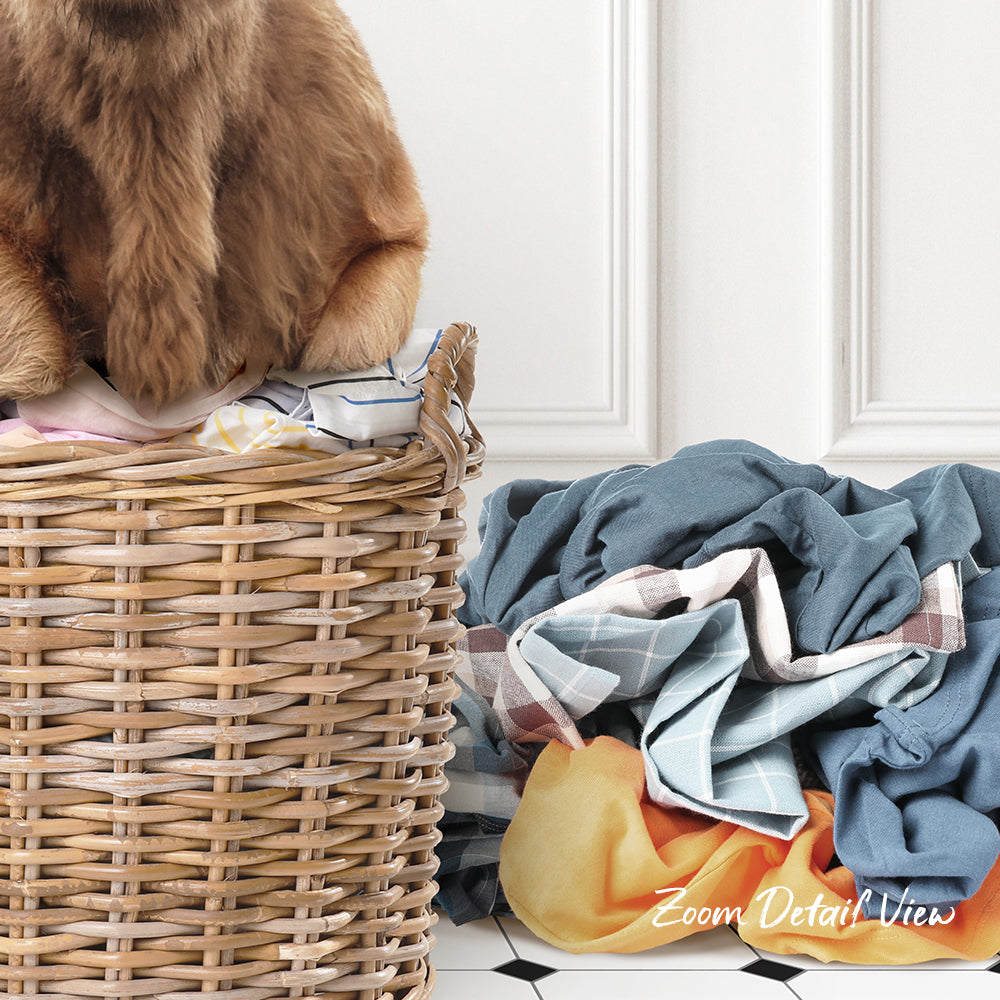 A brown dog is sitting on top of a wicker laundry basket filled with clothes, next to a pile of clothes on the floor.