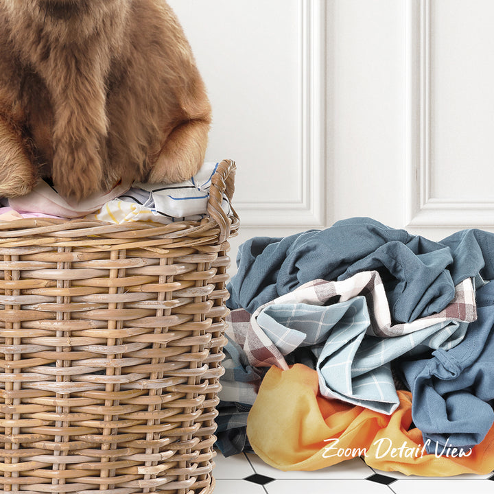 A brown dog is sitting on top of a wicker laundry basket filled with clothes, next to a pile of clothes on the floor.