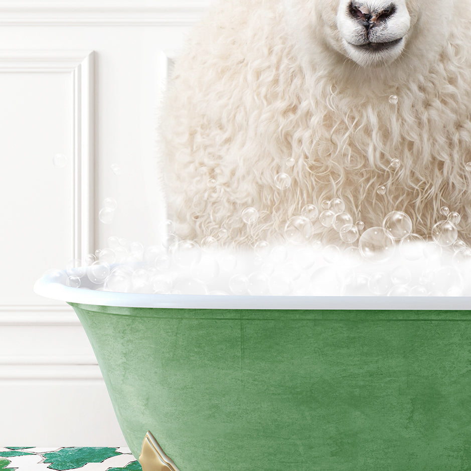 a white sheep sitting in a green bath tub