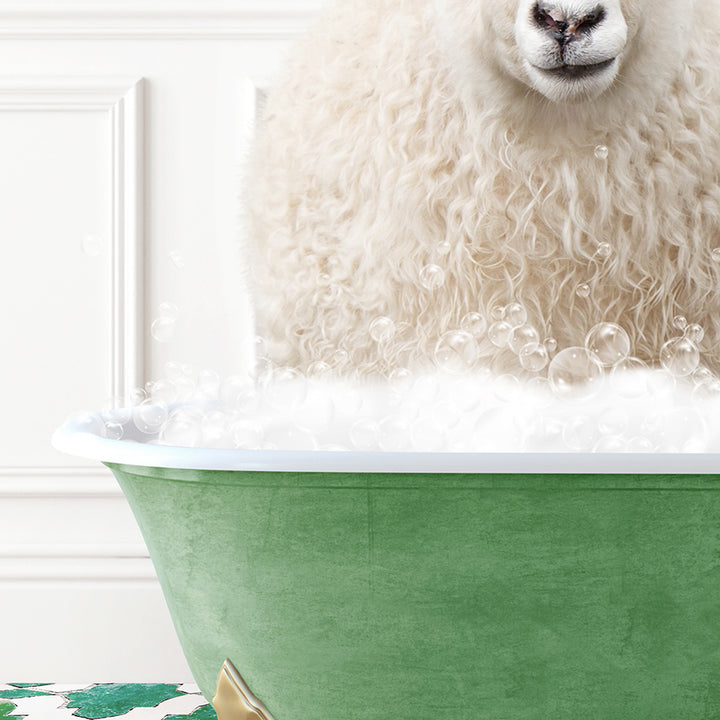 a white sheep sitting in a green bath tub