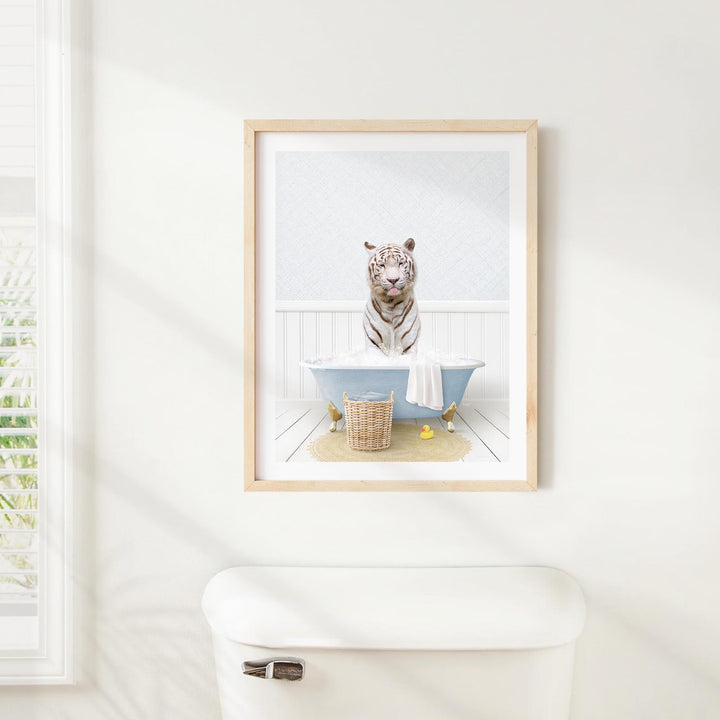 A framed photograph of a white tiger sitting in a blue bathtub, with a basket of toys nearby.