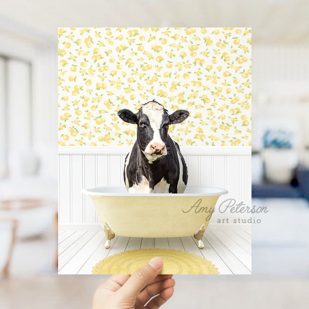 a black and white cow sitting in a bathtub