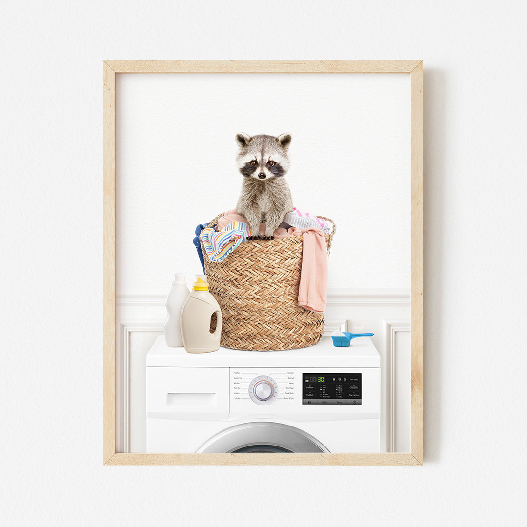 a picture of a raccoon sitting on top of a laundry basket