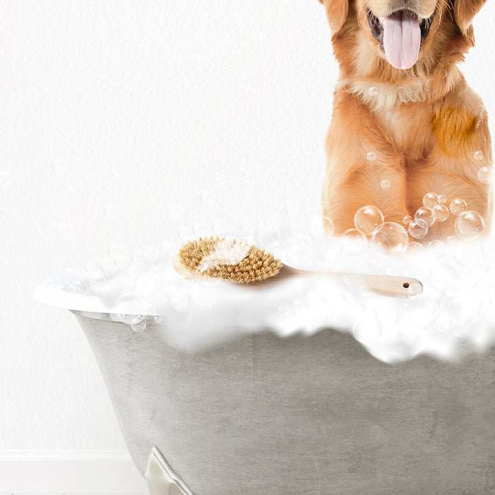 Amber Retriever Scrub A-Dub-Dub in Simple Gray Bath