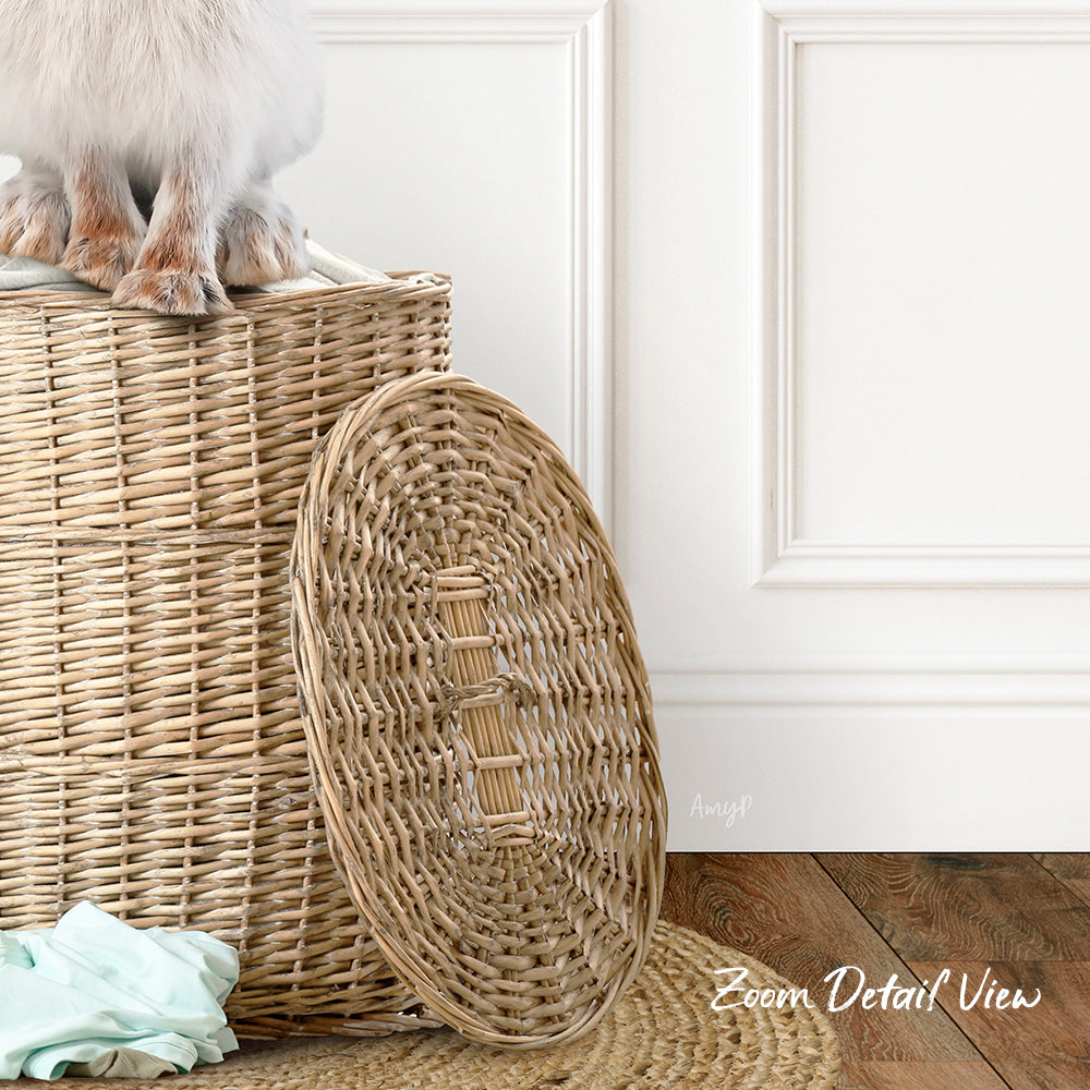 A white cat sits atop a woven basket, with a round woven object next to it.