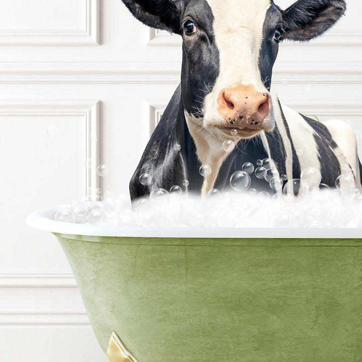 a black and white cow sitting in a bath tub