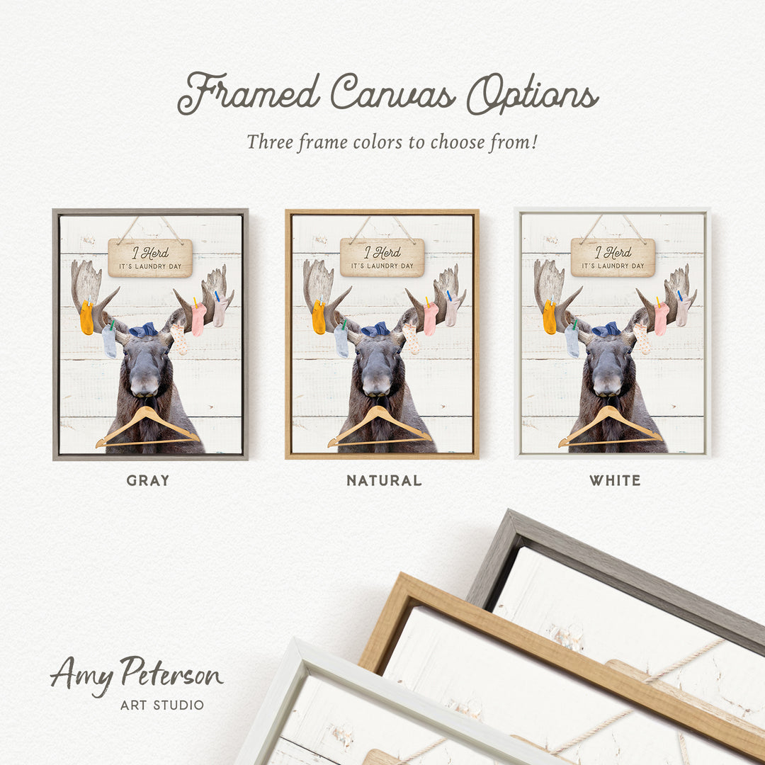 three framed canvas options, each featuring a moose holding clothes. The options include a gray frame, a natural frame, and a white frame. The text above the images reads " framed Canvas Options" and "Three frame colors to choose from!". The artist's name, Amy Peterson, is also mentioned at the bottom of the image.