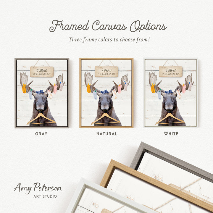 three framed canvas options, each featuring a moose holding clothes. The options include a gray frame, a natural frame, and a white frame. The text above the images reads " framed Canvas Options" and "Three frame colors to choose from!". The artist's name, Amy Peterson, is also mentioned at the bottom of the image.