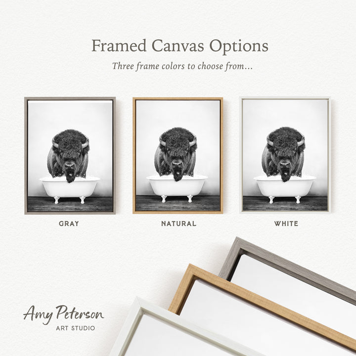 three framed canvas options, each featuring a black and white photograph of a bison in a bathtub. The options include a gray frame, a natural frame, and a white frame.