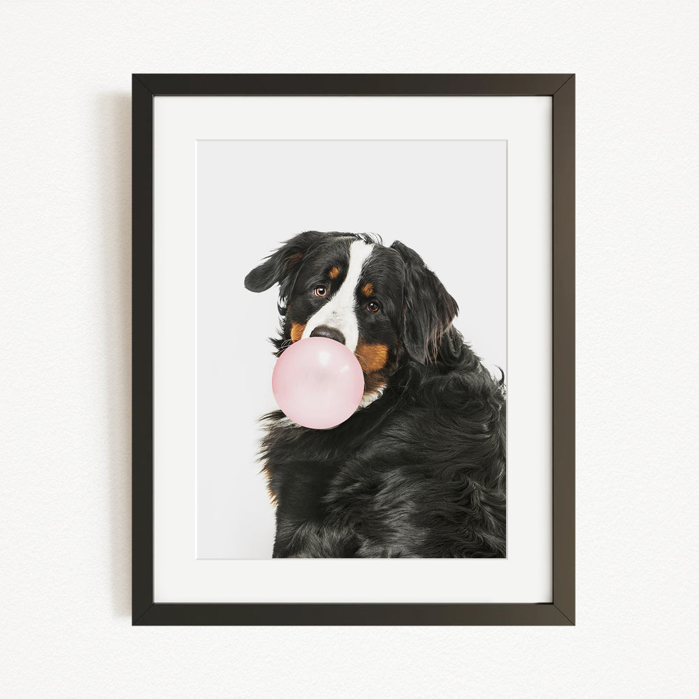 A black and white dog is blowing a pink bubble with its mouth, creating a playful and adorable scene.