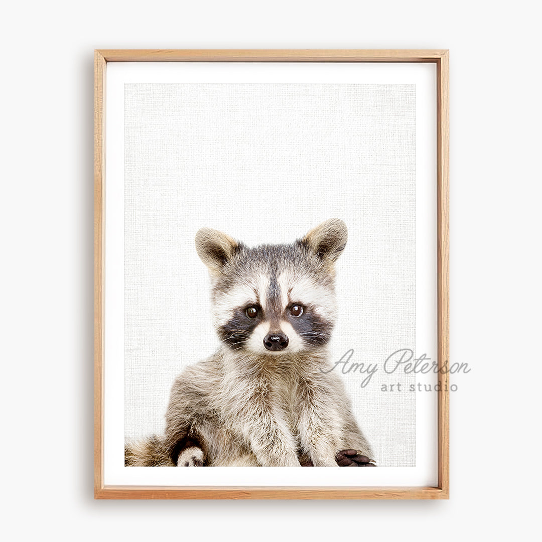 a picture of a raccoon in a frame