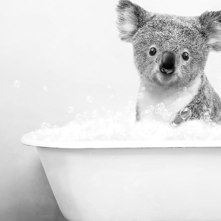 a baby koala in a bathtub with bubbles