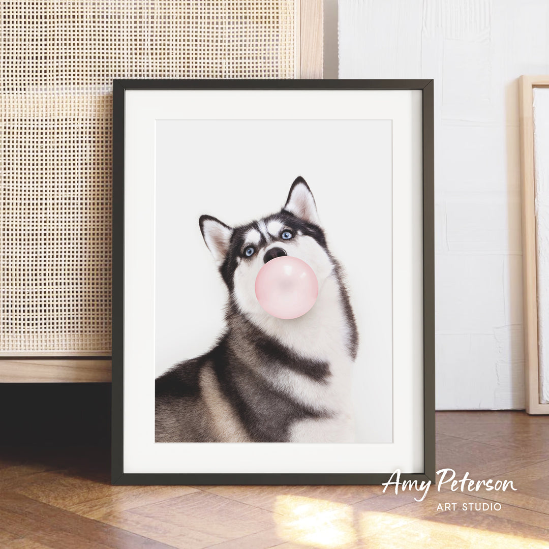 A framed photograph of a husky dog blowing a bubble with a pink bubble gum bubble.