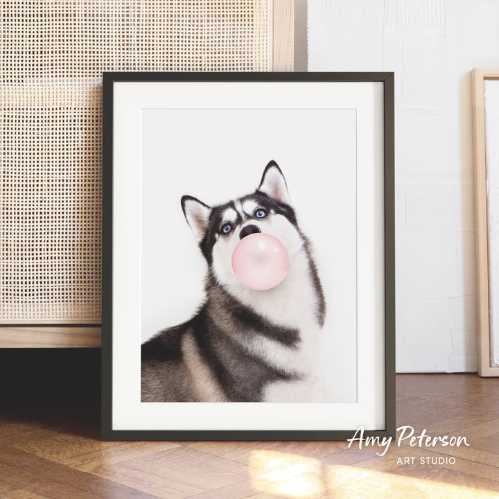 A framed photograph of a husky dog blowing a bubble with a pink bubble gum bubble.