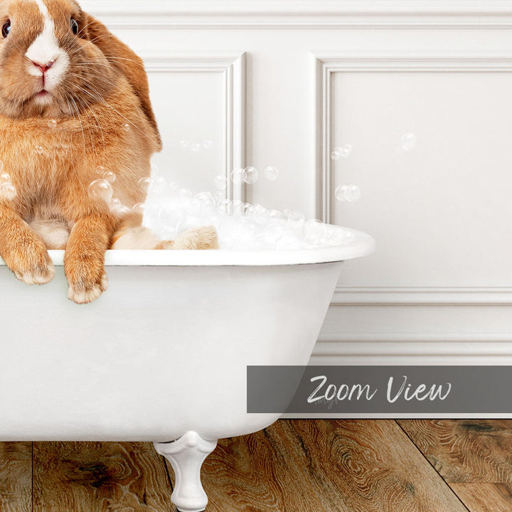 A brown and white rabbit sitting in a white bathtub filled with bubbles, with the text "Zoom View" displayed below the image.