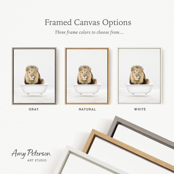three framed canvas options, each featuring a lion sitting in a bathtub. The options include a gray frame, a natural frame, and a white frame.